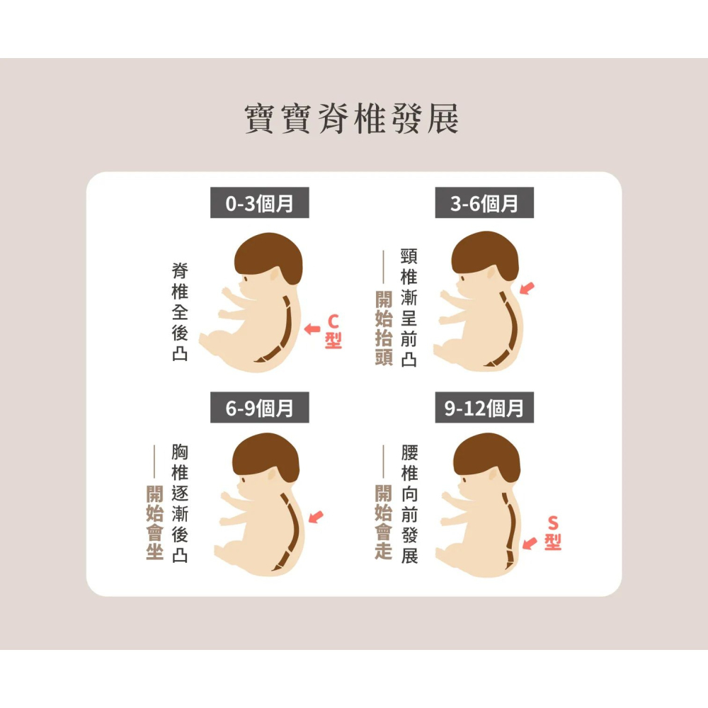 媽咪小站 VE有機棉多功能平枕-細節圖3