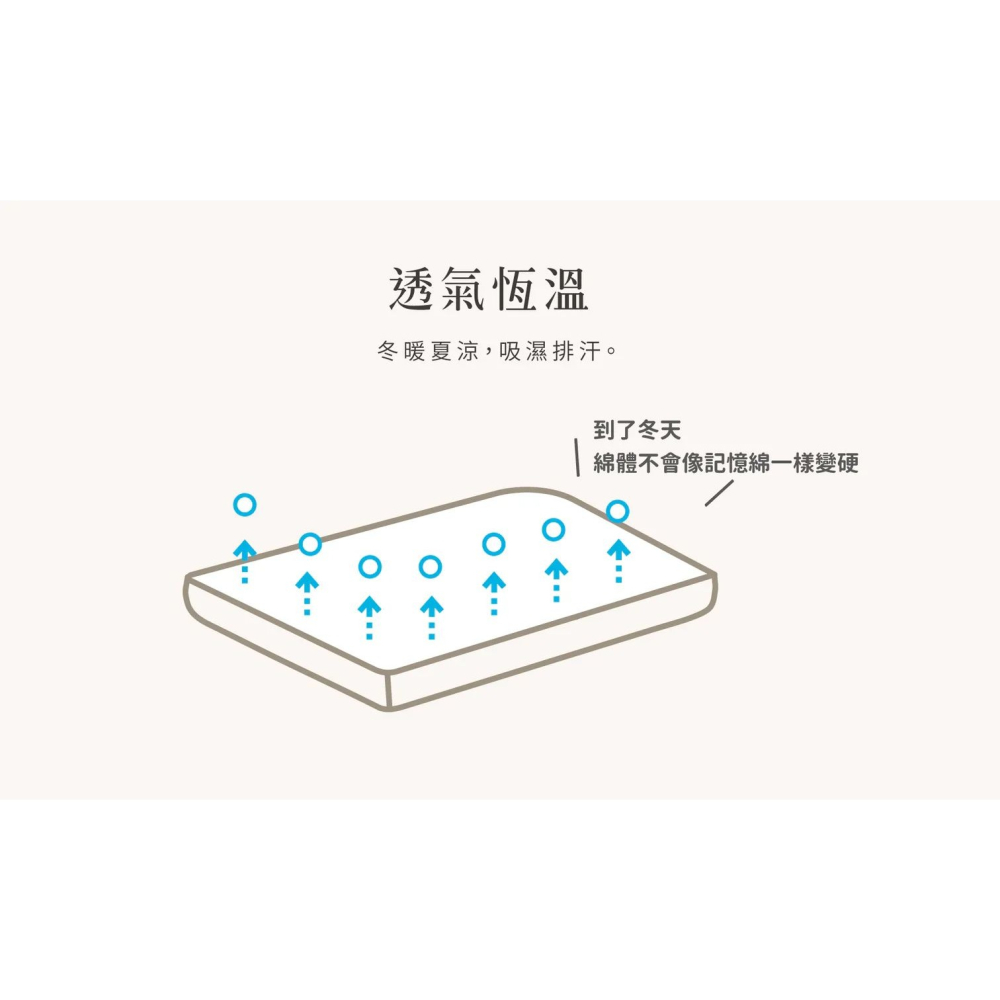 媽咪小站 VE有機棉多功能平枕-細節圖6