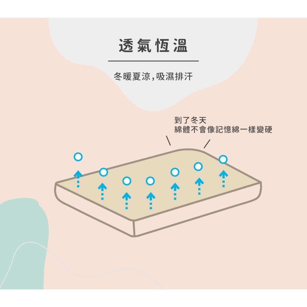 媽咪小站 VE有機棉護頸枕 (建議12kg / 16-18個月以上適用)-細節圖7