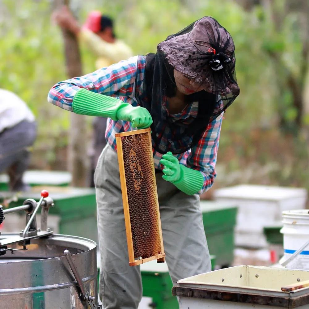 【小農夫婦】頂級台灣-鮮採/純粹 花蜜420g-細節圖2