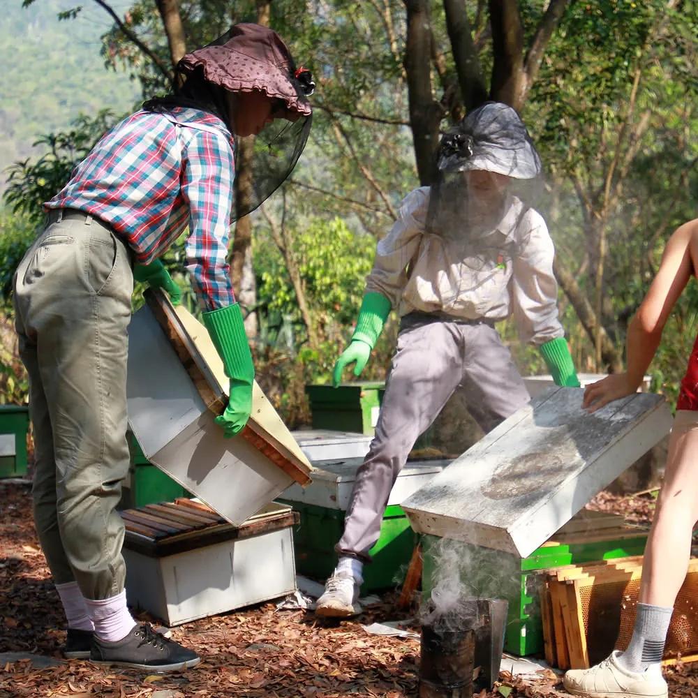 【小農夫婦】頂級台灣-鮮採/純粹 花蜜420g-細節圖3