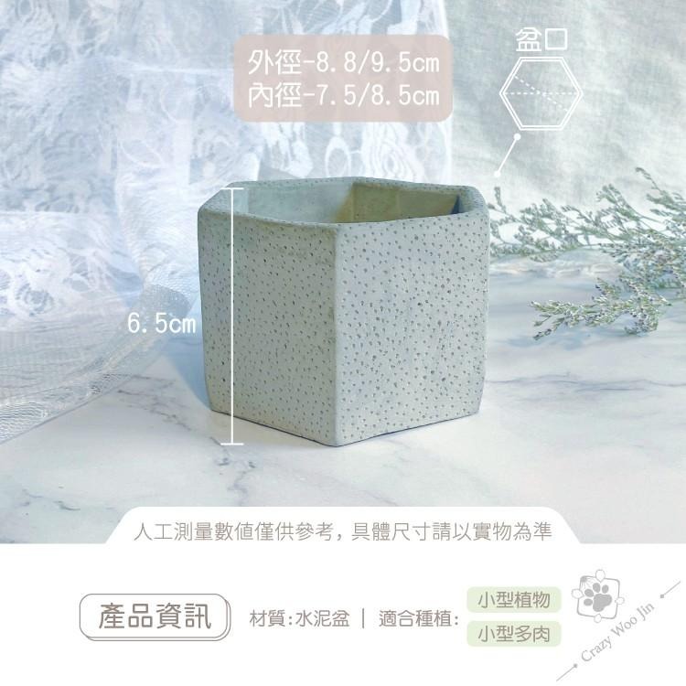 【手工限量】六角孔洞水泥盆 2.5吋盆 多肉盆栽 家用植物盆 有底孔 小盆栽 小陶盆【瘋伍金】-細節圖2