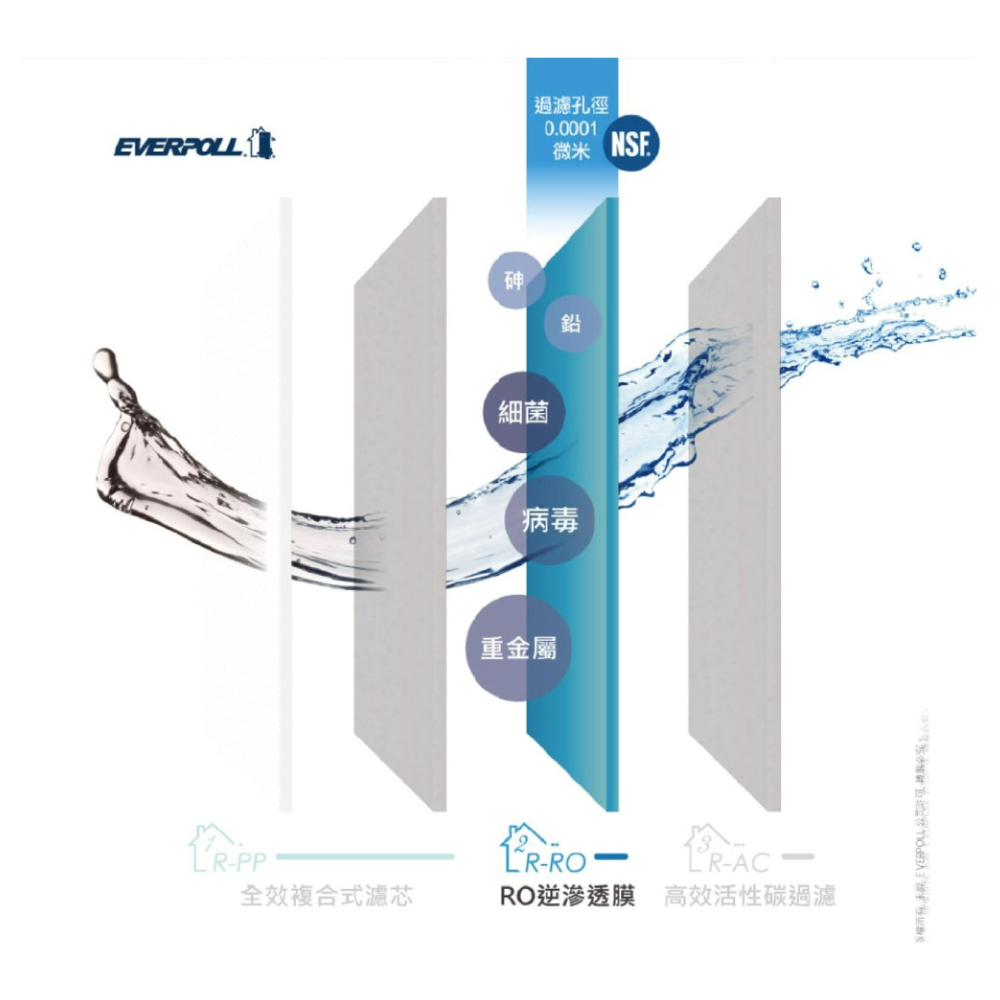 EVERPOLL RO600 專用濾心 愛科濾淨 直出RO淨水器專用濾心 《第二道 RO膜》【水易購安南店】-細節圖3