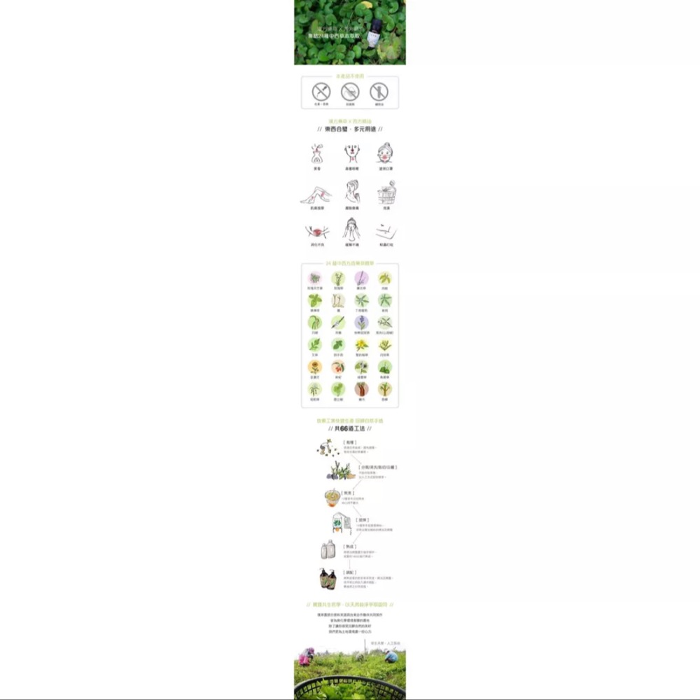 璞草園 樂活多元複方精油Plus 10ml-細節圖2