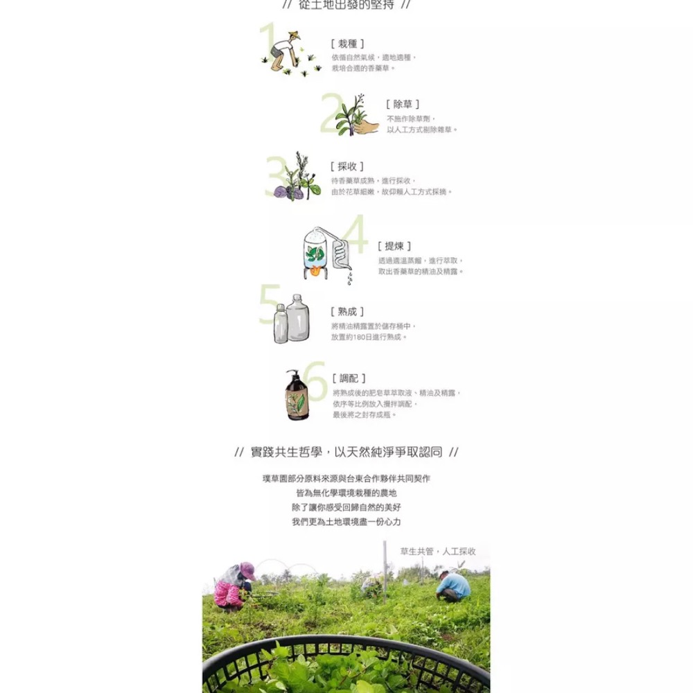 璞草園-肥皂草精油蔬碗液(350ml)-細節圖3