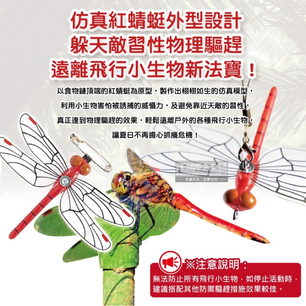 日本Eikyu-佩戴式物理驅趕輔助仿真模型小紅蜻蜓妹飾品1入/橘盒-別針款(戶外露營釣魚配件,爬山運動飛行小生物防範)-細節圖4