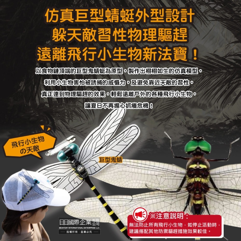 日本Eikyu-佩戴式物理驅趕輔助仿真模型大蜻蜓君飾品1入/藍盒-別針款(戶外露營釣魚配件,爬山運動飛行小生物防範)-細節圖4