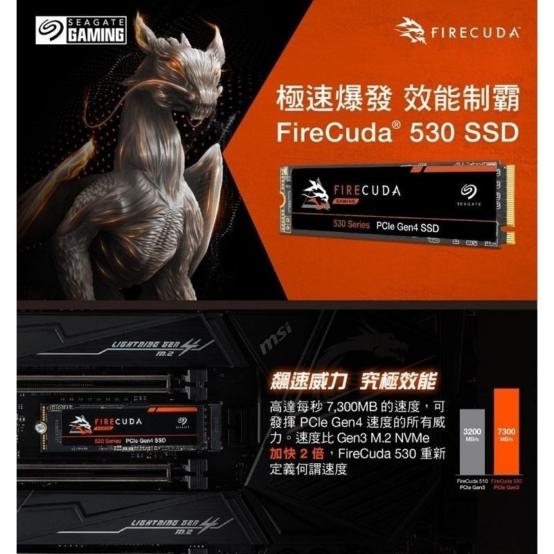 火梭魚 FireCuda 530 4TB/含散熱片/Gen4 PCIe 4.0固態硬碟/ZP4000GM3A023-細節圖2