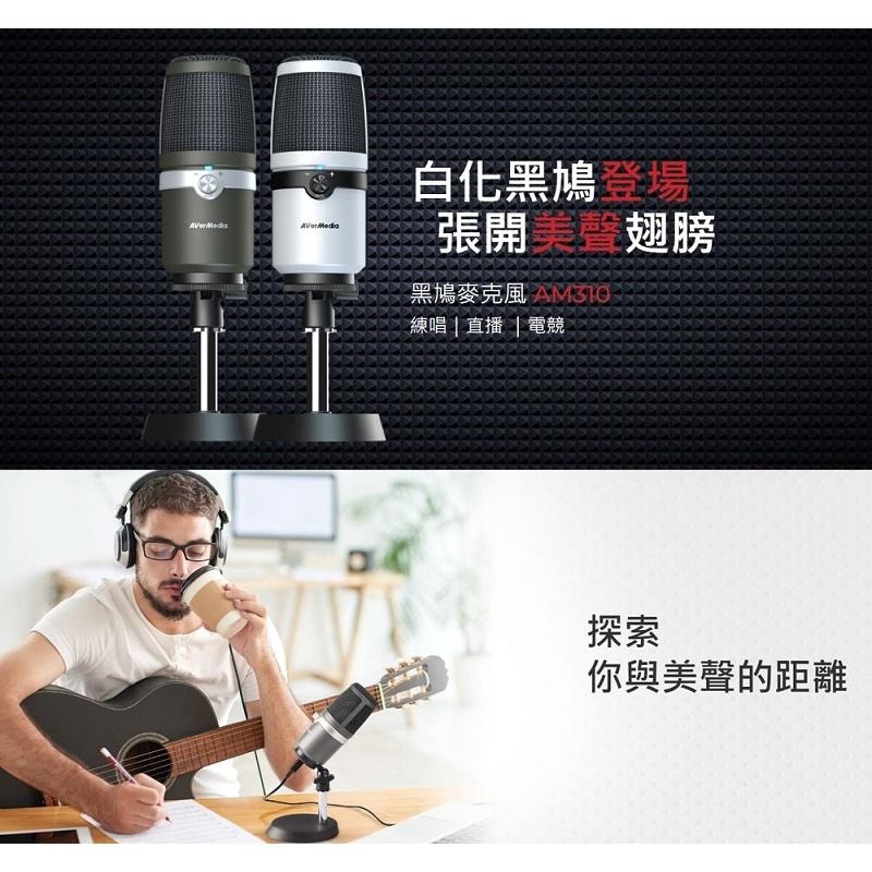 米特3C數位–圓剛 AM310 黑鳩直播錄音麥克風(白化版)高音質USB麥克風 電競直播、錄音、Podcast-細節圖2