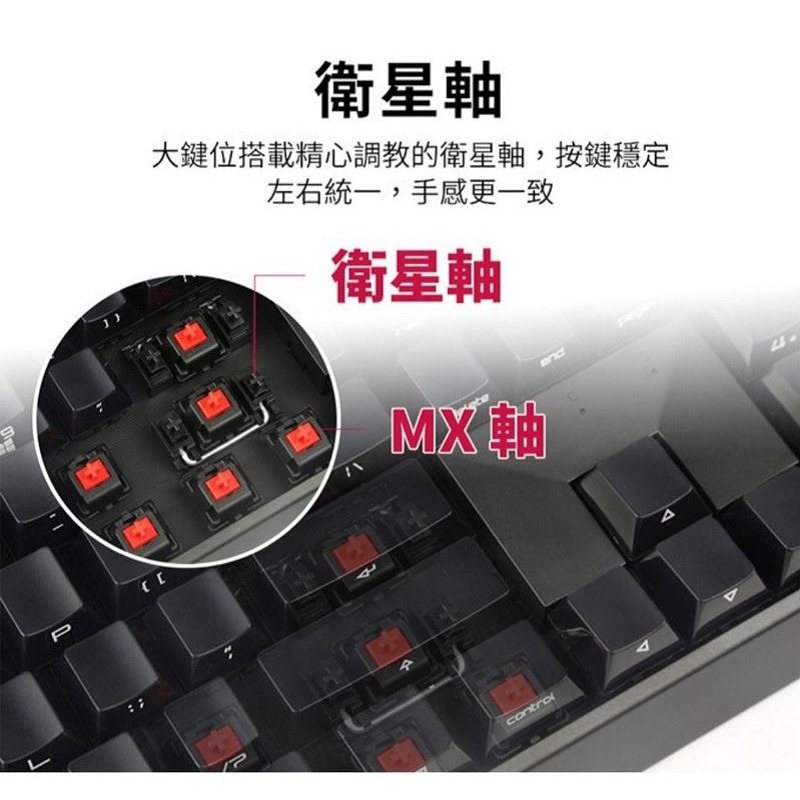 米特3C數位–CHERRY 櫻桃 MX 3.0S RGB 粉紅機械式鍵盤/中文/靜音紅軸/茶軸/玉軸-細節圖4