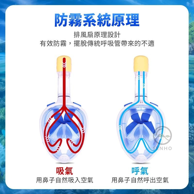 ▶浮潛必備 台灣現貨◀ 潛水面罩 浮淺面罩 潛水面鏡 浮淺面鏡 潛水蛙鏡 乾式面罩 潛水鏡 蛙鏡 浮潛必備 游泳新手-細節圖5