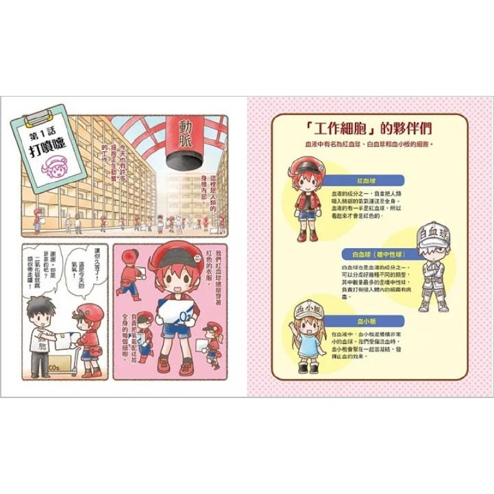 繪本工作細胞 1：敵人入侵！白血球與細菌大對決(小熊)【暢銷超人氣漫畫「工作細胞」系列：了解身體如何應對病菌入侵和擦傷】-細節圖2