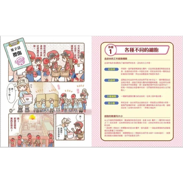 繪本工作細胞 1：敵人入侵！白血球與細菌大對決(小熊)【暢銷超人氣漫畫「工作細胞」系列：了解身體如何應對病菌入侵和擦傷】-細節圖5