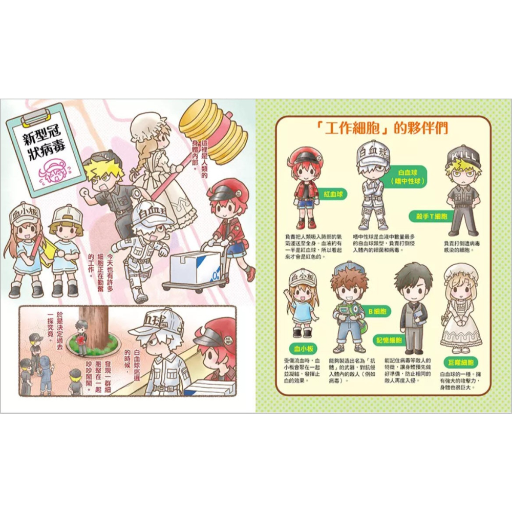 繪本工作細胞 4：全面迎戰！新型冠狀病毒(小熊)【暢銷超人氣漫畫「工作細胞」系列：認識新冠肺炎/醫學知識專欄】-細節圖2