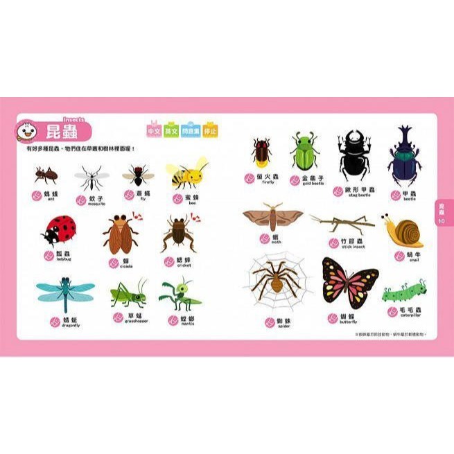 Food超人點讀認知圖鑑(風車)【點讀筆+教材~中英雙語、點讀互動學認知：25大類中英文單字共605組、贈字母表+CD】-細節圖2