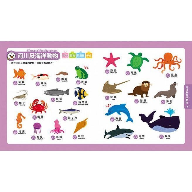 Food超人點讀認知圖鑑(風車)【點讀筆+教材~中英雙語、點讀互動學認知：25大類中英文單字共605組、贈字母表+CD】-細節圖3