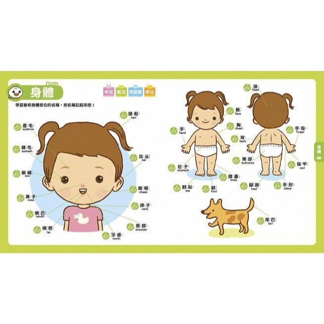 Food超人點讀認知圖鑑(風車)【點讀筆+教材~中英雙語、點讀互動學認知：25大類中英文單字共605組、贈字母表+CD】-細節圖4