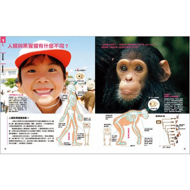 NEW全彩圖解觀念生物(小熊)【培養自然科學實力的最佳百科~符合課綱、小學先修、中學自修，全彩圖解，好讀易懂】-細節圖9