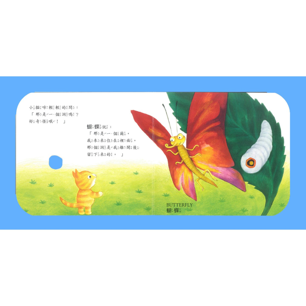 那是一個洞嗎？(上人)【快樂學習洞洞書、厚紙板硬頁書~中英文對照】-細節圖7