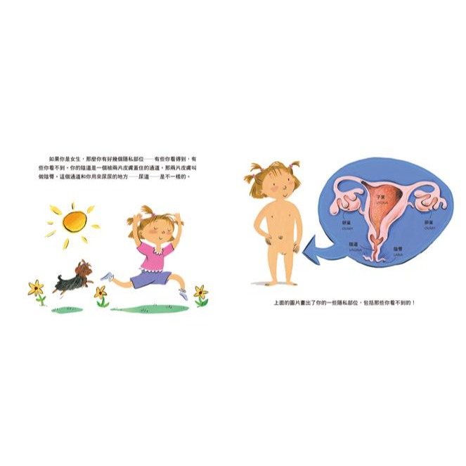 不可思議的你！(小魯)【本書提供切合年齡的適當資訊，清楚地說明傳宗接代、分娩，以及男生和女生的身體構造有何不同】-細節圖2