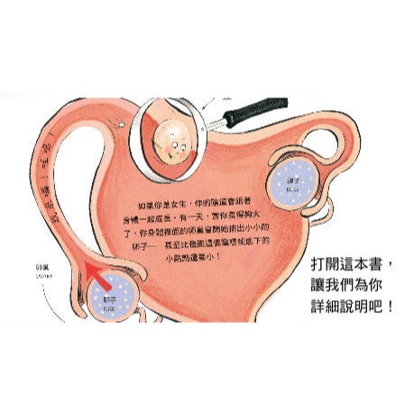 不可思議的你！(小魯)【本書提供切合年齡的適當資訊，清楚地說明傳宗接代、分娩，以及男生和女生的身體構造有何不同】-細節圖4