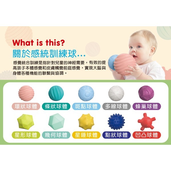 感覺統合觸覺訓練球(10入)(小牛津)【10顆不同硬度、紋理的球體，訓練觸覺感知/手部抓握能力/促進腦部及肌肉發展】-細節圖4