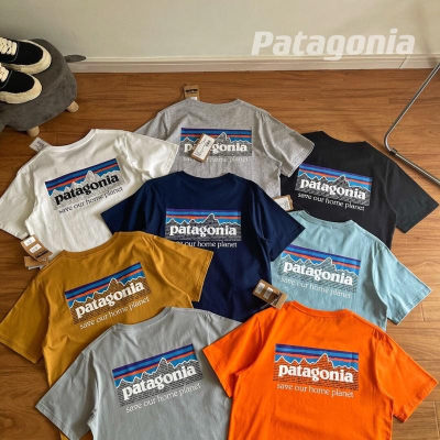 現+預購 Patagonia P-6 Mission Organic T-Shirt 巴塔哥尼亞 世界和平 短袖T上衣