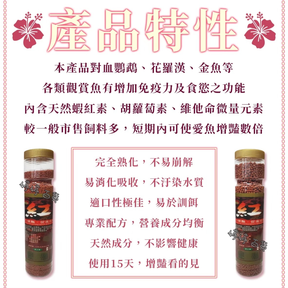 紅 觀賞魚飼料【小顆粒／中顆粒 上浮性】增豔飼料 促進成長 花羅漢 血鸚鵡 金魚 蝦紅素 胡蘿蔔素 婷婷水族 兩棲爬寵-細節圖2