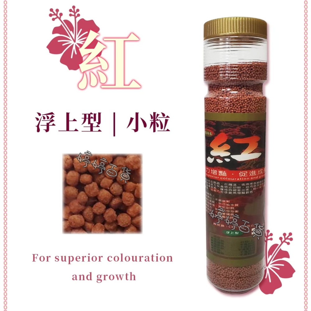 紅 觀賞魚飼料【小顆粒／中顆粒 上浮性】增豔飼料 促進成長 花羅漢 血鸚鵡 金魚 蝦紅素 胡蘿蔔素 婷婷水族 兩棲爬寵-細節圖3