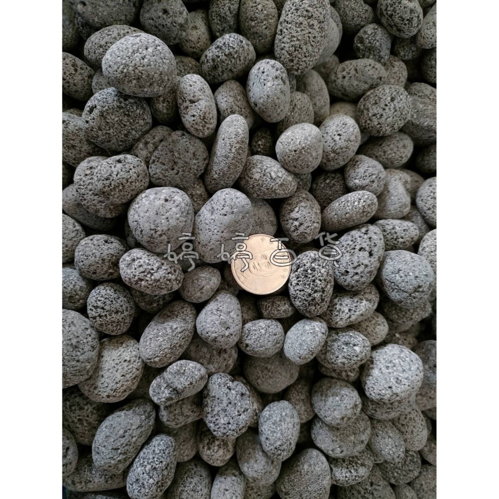 麥飯圓石-5分（1Kg）麥飯石 底材 濾材 淨化水質 底砂 天然石材 水族 園藝 造景 擺設 婷婷水族 兩棲爬寵-細節圖3