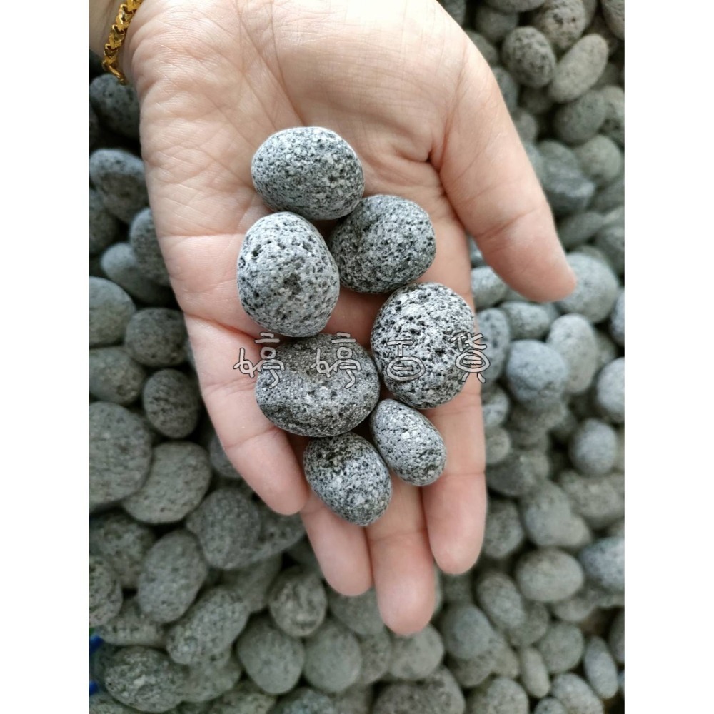 麥飯圓石-5分（1Kg）麥飯石 底材 濾材 淨化水質 底砂 天然石材 水族 園藝 造景 擺設 婷婷水族 兩棲爬寵-細節圖4