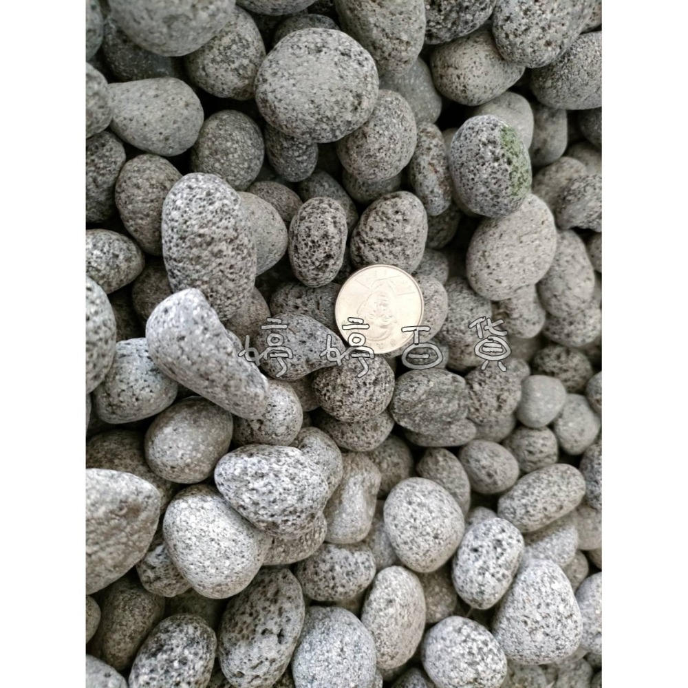 麥飯圓石-5分（1Kg）麥飯石 底材 濾材 淨化水質 底砂 天然石材 水族 園藝 造景 擺設 婷婷水族 兩棲爬寵-細節圖5