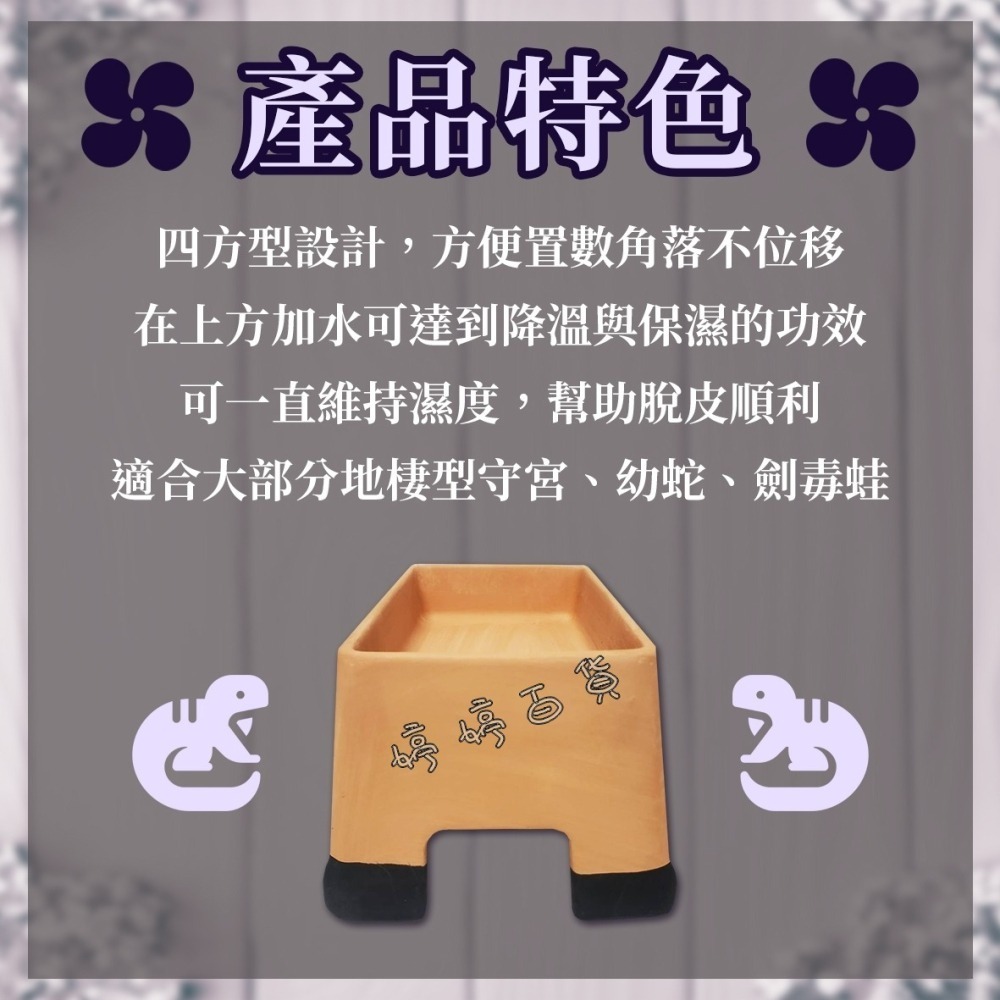 長方型加濕屋【S號、L號】陶瓷守宮屋 躲藏洞 加濕躲避洞 守宮 蜥蜴 爬蟲 保濕 洞穴 婷婷水族 兩棲爬寵-細節圖4