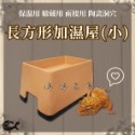 長方型加濕屋【S號、L號】陶瓷守宮屋 躲藏洞 加濕躲避洞 守宮 蜥蜴 爬蟲 保濕 洞穴 婷婷水族 兩棲爬寵-規格圖5