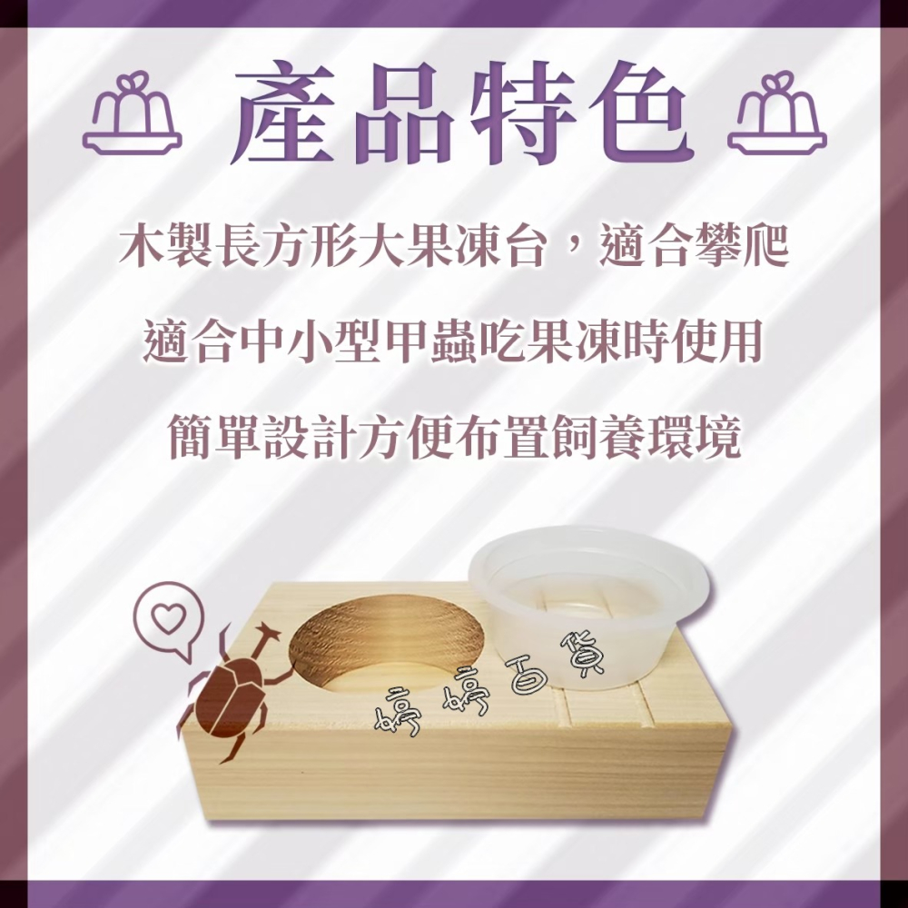 RepPark 長方形大果凍台（單孔）甲蟲專用果凍皿 大果凍 鍬形蟲 獨角仙 昆蟲 婷婷水族 兩棲爬寵-細節圖4