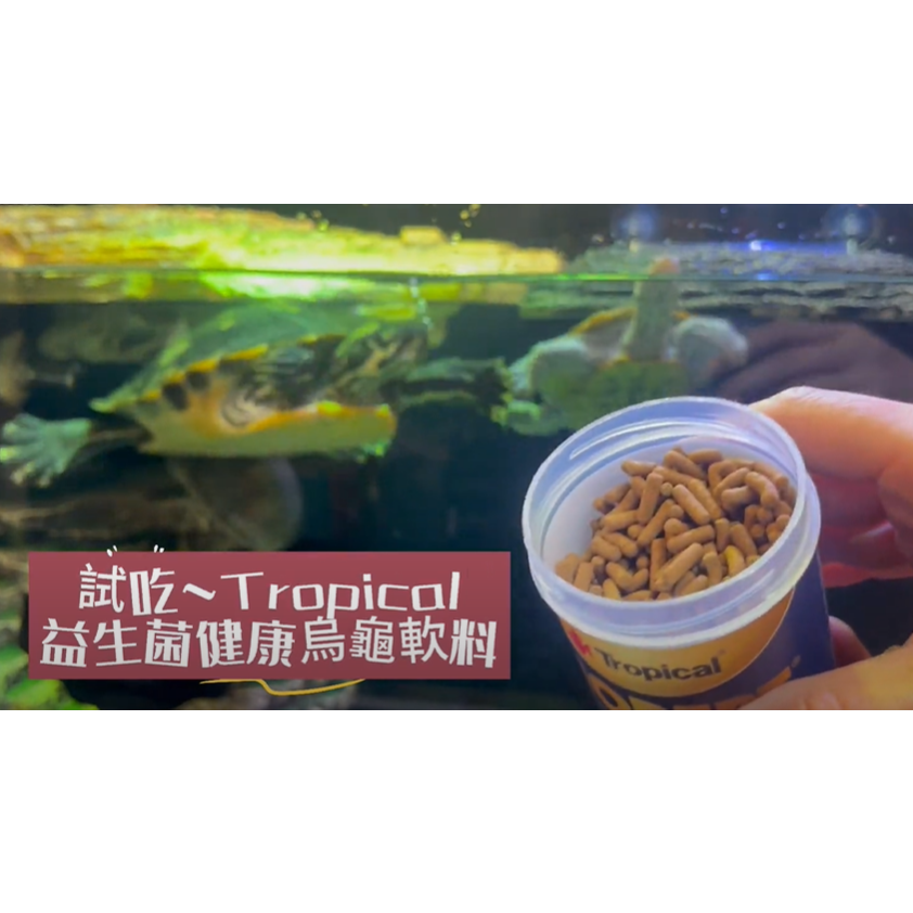 Tropical 德比克 益生菌健康烏龜軟料 水龜飼料 澤龜 花臉 鑽紋龜 星點龜 巴西龜 麝香龜 婷婷水族 兩棲爬蟲-細節圖4