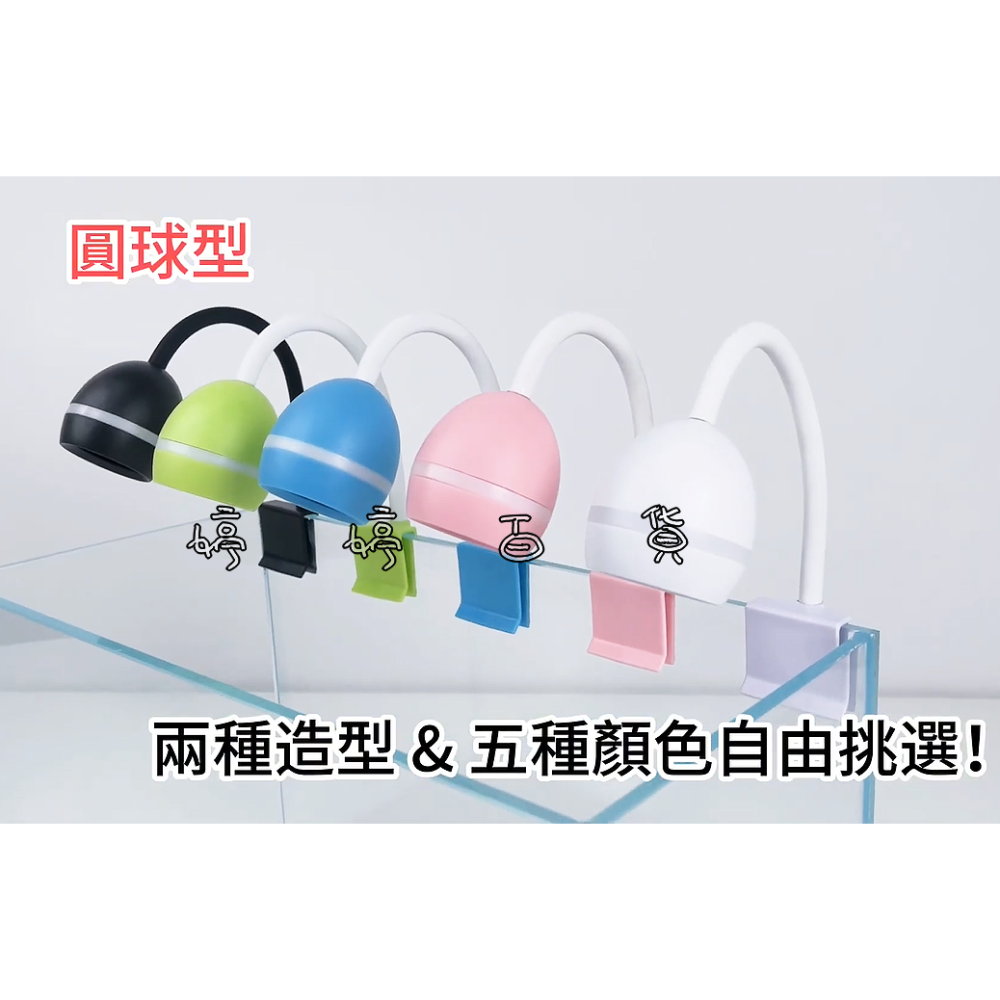 小螃蟹 USB 全光譜 迷你小夾燈（圓球型、圓盤型）魚缸夾燈 水族夾燈 側夾燈 婷婷水族 兩棲爬蟲-細節圖2