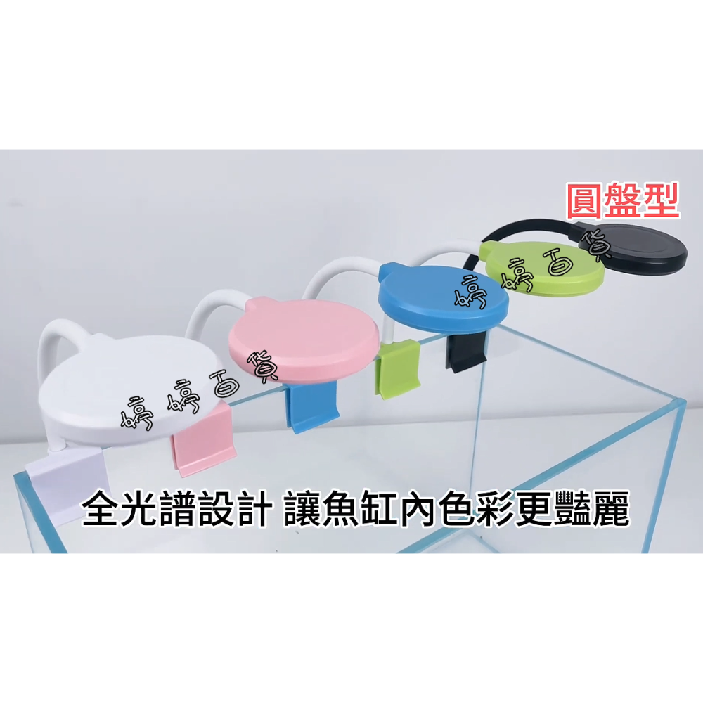 小螃蟹 USB 全光譜 迷你小夾燈（圓球型、圓盤型）魚缸夾燈 水族夾燈 側夾燈 婷婷水族 兩棲爬蟲-細節圖3
