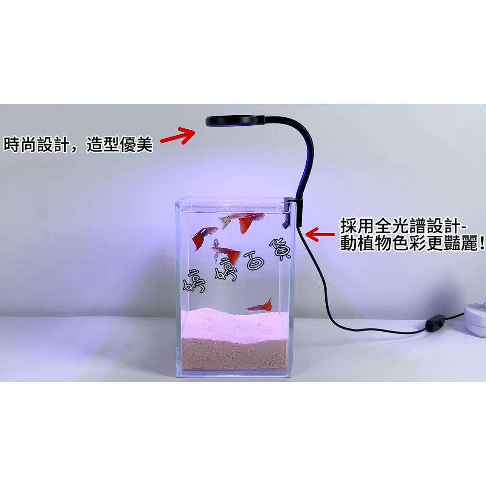 小螃蟹 USB 全光譜 迷你小夾燈（圓球型、圓盤型）魚缸夾燈 水族夾燈 側夾燈 婷婷水族 兩棲爬蟲-細節圖5