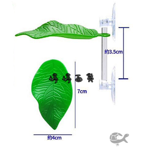 ISTA 伊士達 鬥魚生態浮葉 鬥魚築巢 產卵 休息 躲藏 浮葉 婷婷水族 兩棲爬蟲-細節圖3