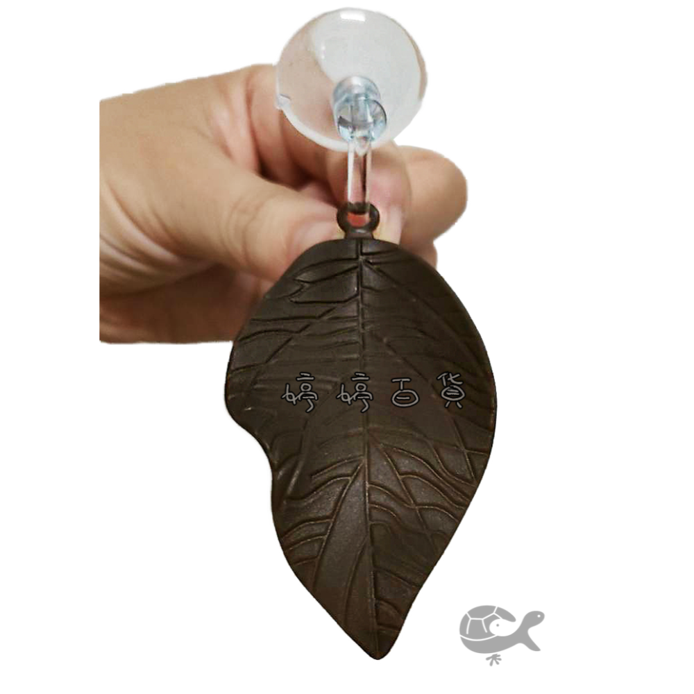 ISTA 伊士達 鬥魚生態浮葉 鬥魚築巢 產卵 休息 躲藏 浮葉 婷婷水族 兩棲爬蟲-細節圖4