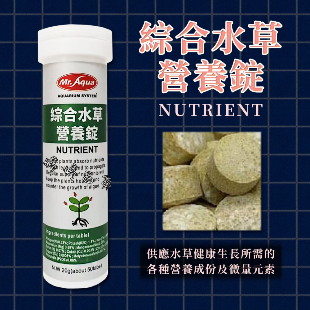 MR.AQUA 水族先生 綜合水草營養錠 NUTRIENT 提供水草生長營養 微量元素 水草肥料 基肥 根肥 婷婷水族-細節圖4