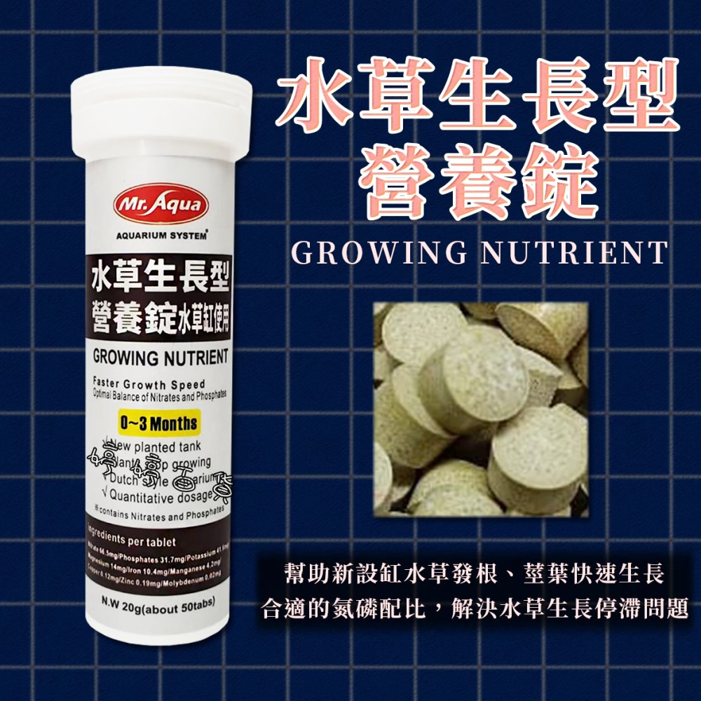MR.AQUA 水族先生 水草生長型營養錠（新設缸0~3個月）水草發根 莖葉快速生長 婷婷水族 兩棲爬寵-細節圖3