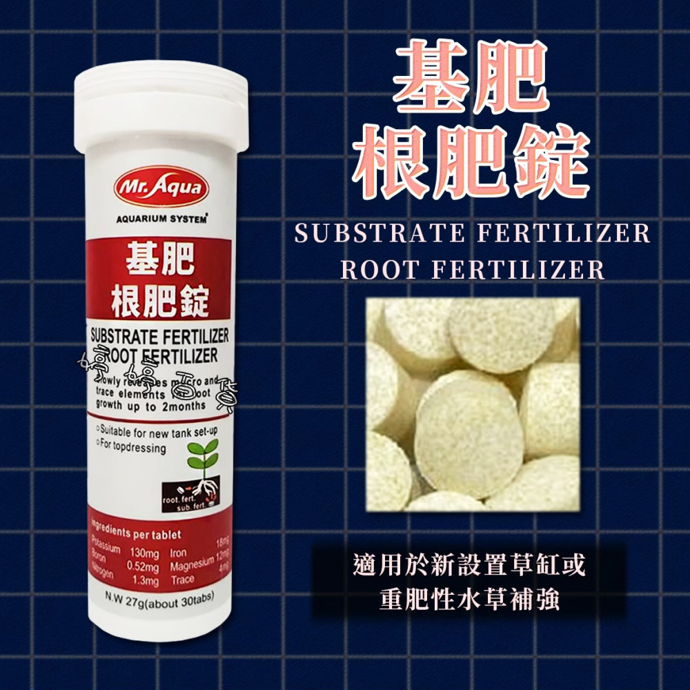 MR.AQUA 水族先生 基肥／根肥錠 水草肥料 水草根肥 水草根部生長 追肥 婷婷水族 兩棲爬寵-細節圖3