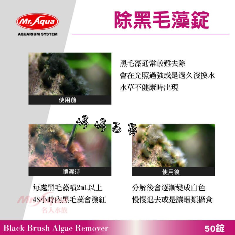 MR.AQUA 水族先生 除黑毛藻錠 去除黑毛藻 去除鹿角藻 婷婷水族 兩棲爬寵-細節圖2
