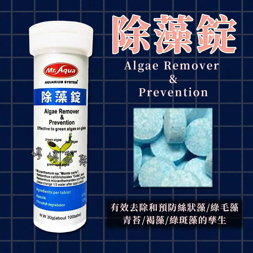 MR.AQUA 水族先生 除藻錠 除絲狀藻 綠毛藻 除青苔 褐藻 除綠斑藻 去除藻類 婷婷水族 兩棲爬寵-細節圖3