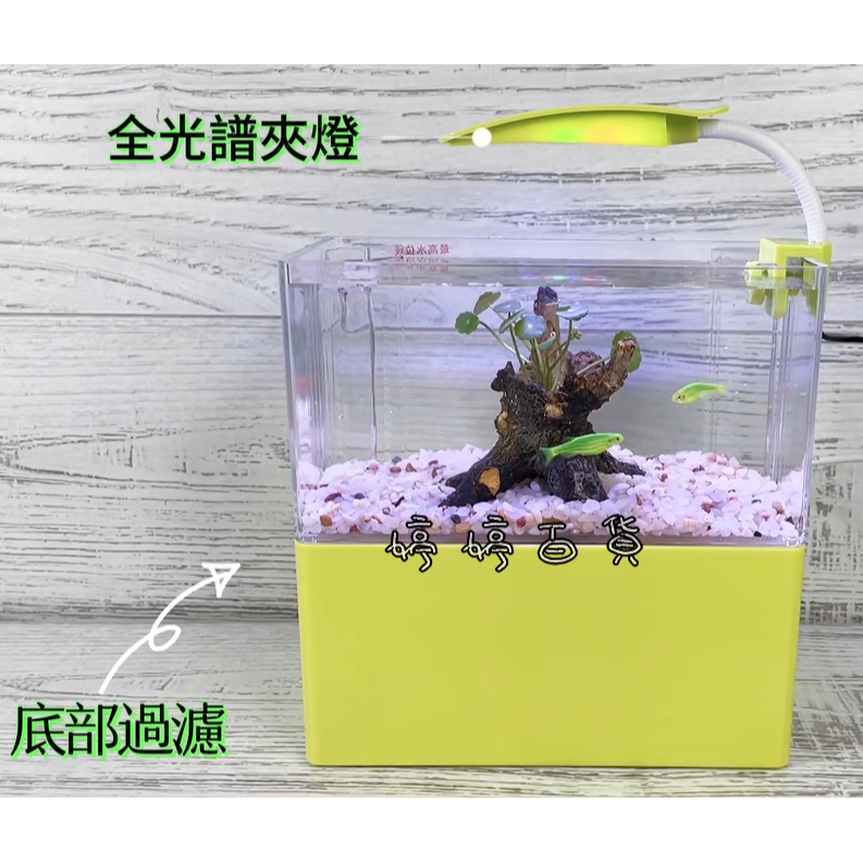 小螃蟹 開放式 迷你底部過濾缸 底濾缸（含馬達、燈具、濾材）魚缸套組 孔雀缸 桌上缸 鬥魚缸 小型缸 婷婷水族 兩棲爬寵-細節圖3