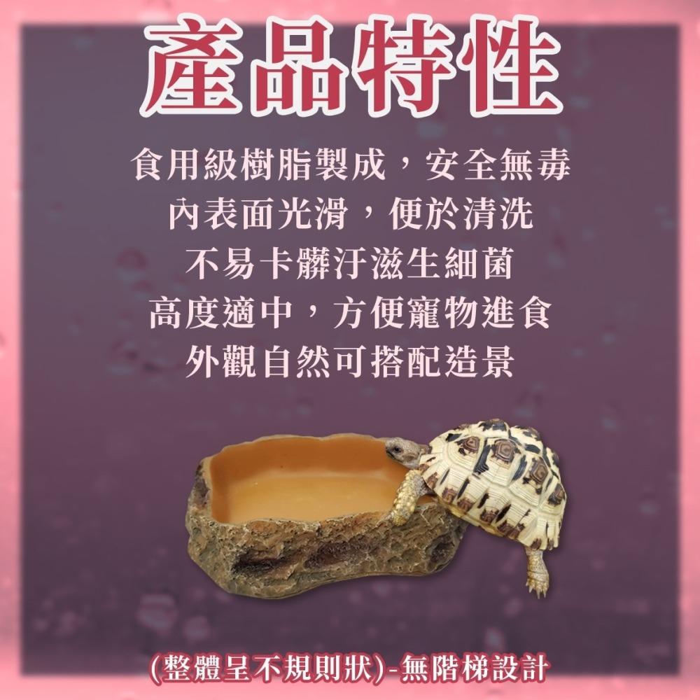 REPTIZOO 瑞普 樹脂餵食盤 水盆 食盆 菜盤 寵物水盆 兩棲爬蟲 守宮 蜥蜴 陸龜 角蛙 婷婷百貨 金金水族-細節圖2