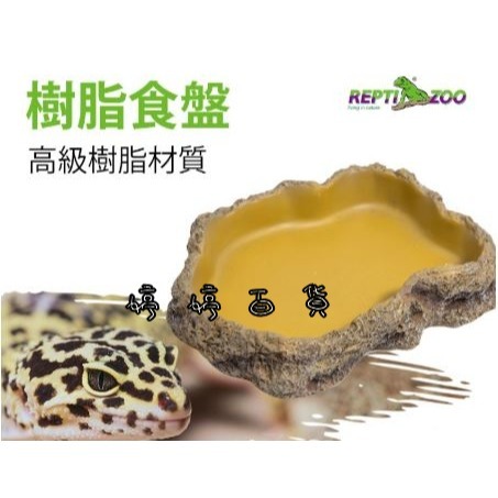 REPTIZOO 瑞普 樹脂餵食盤 水盆 食盆 菜盤 寵物水盆 兩棲爬蟲 守宮 蜥蜴 陸龜 角蛙 婷婷百貨 金金水族-細節圖3