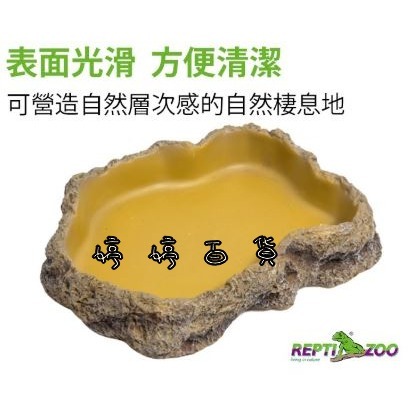 REPTIZOO 瑞普 樹脂餵食盤 水盆 食盆 菜盤 寵物水盆 兩棲爬蟲 守宮 蜥蜴 陸龜 角蛙 婷婷百貨 金金水族-細節圖4